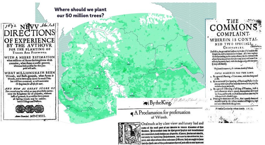 The Northern Forest: History