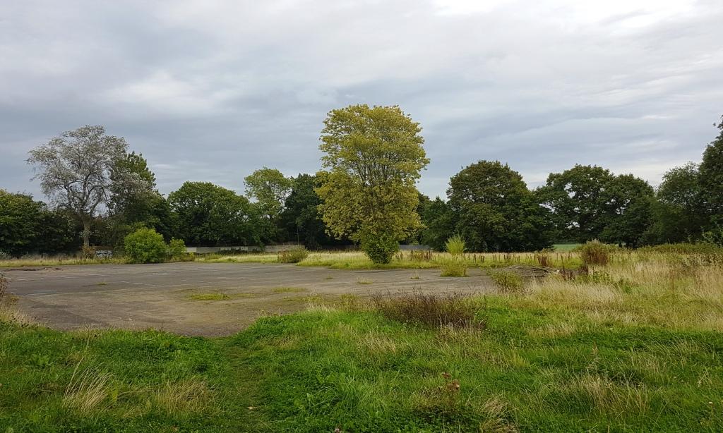 Leeds Tree Survey