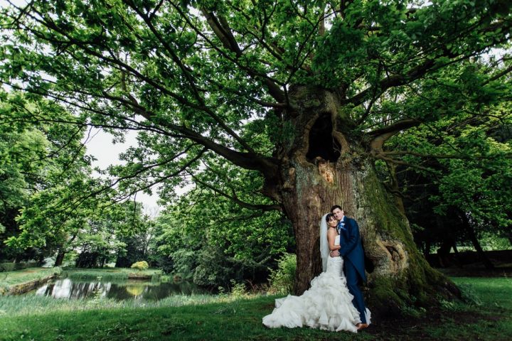 Ancient tree survey Yorkshire