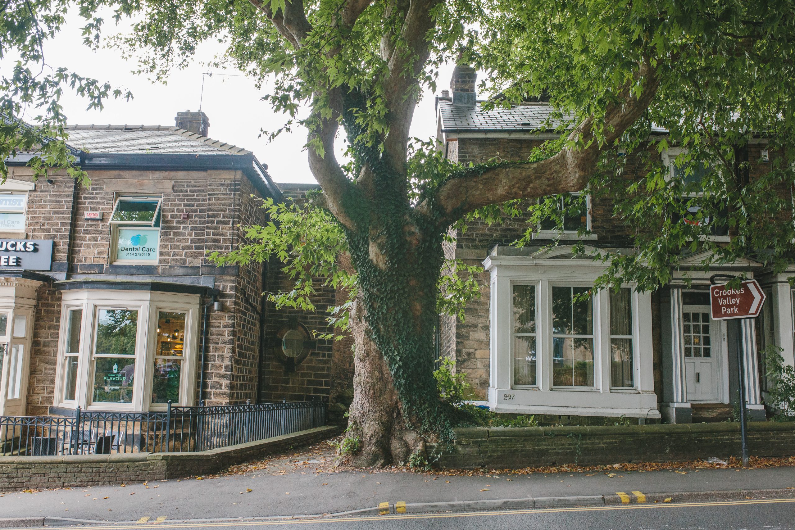 AWA trees-near-buildings