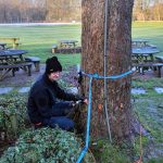 Arboricultural Apprentice