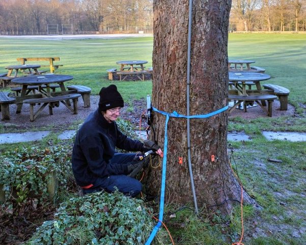 Arboricultural Apprentice